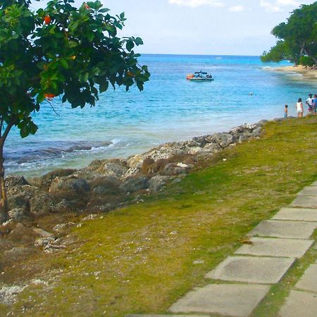 Coral Lane Beach Apartments Saint James Eksteriør billede