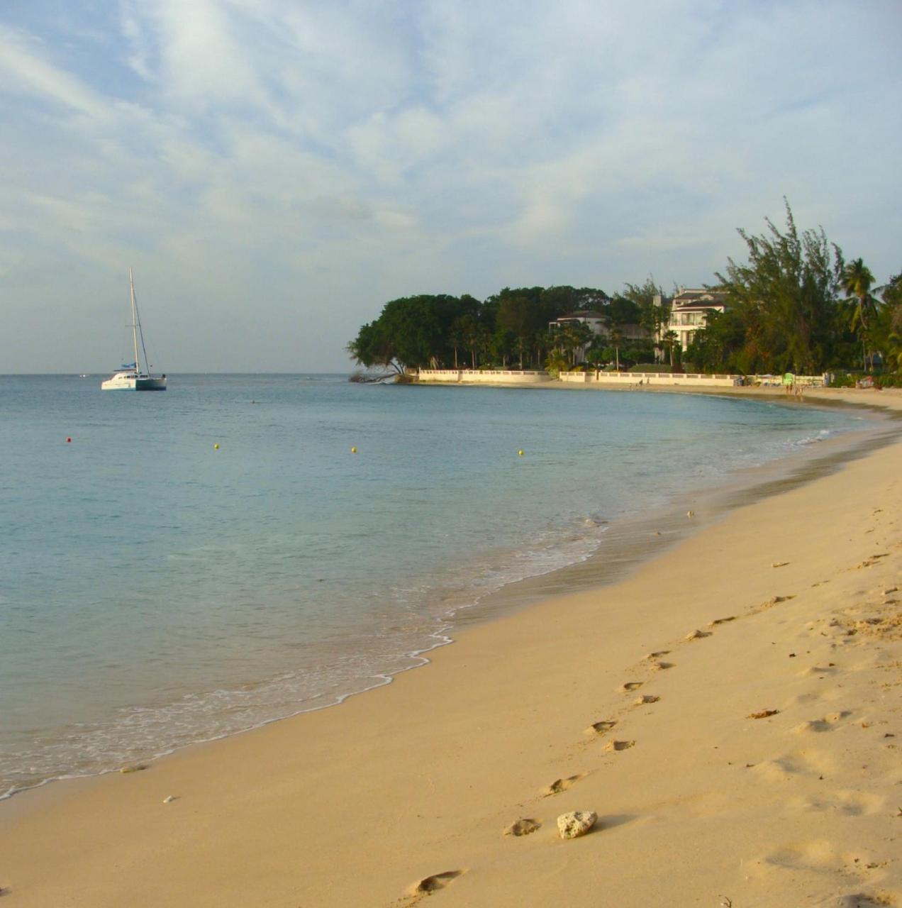 Coral Lane Beach Apartments Saint James Eksteriør billede