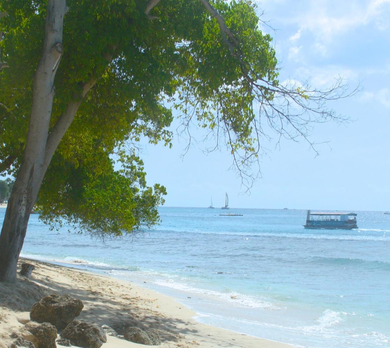 Coral Lane Beach Apartments Saint James Eksteriør billede